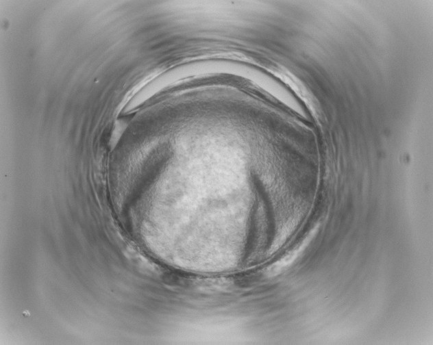 X0000088191001200706051202