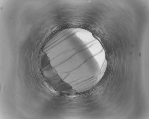 X0000088191009200706051201