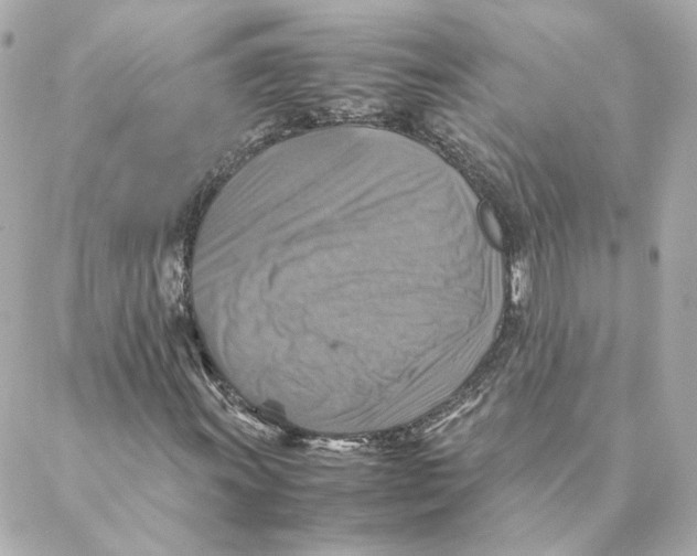 X0000088191011200706051201