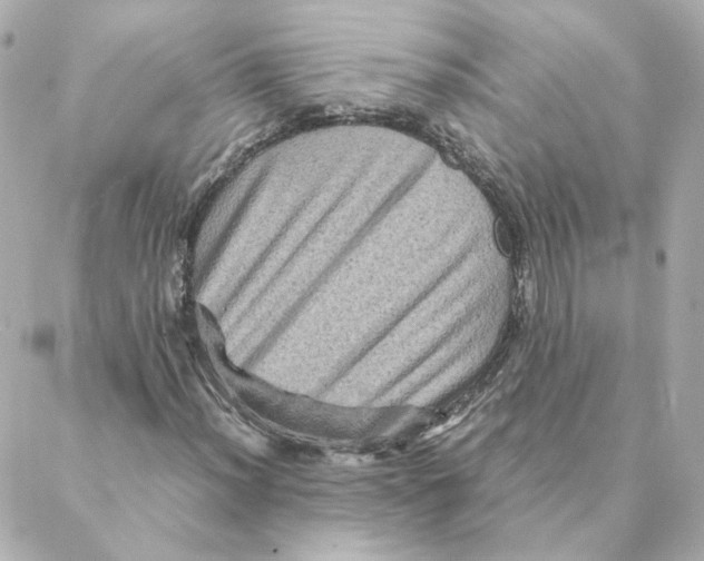 X0000088191012200706051201