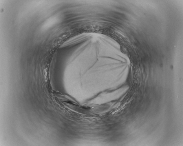X0000088191013200706051201