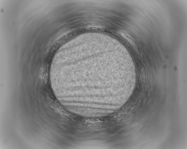 X0000088191015200706051201