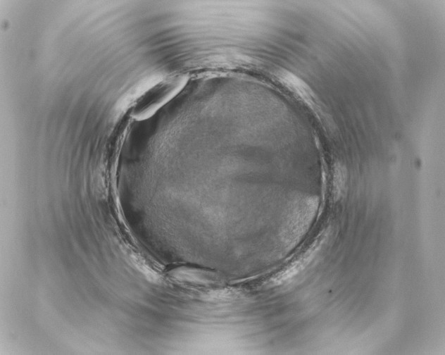 X0000088191018200706051201