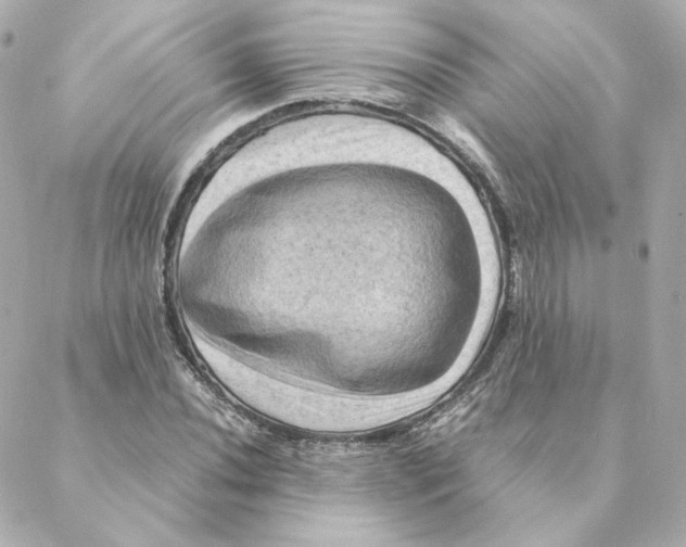 X0000088191020200706051201