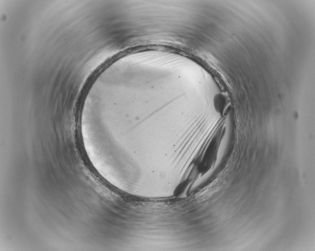 X0000088191024200706051201