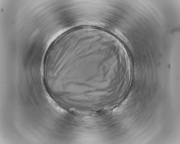 X0000088191028200706051201