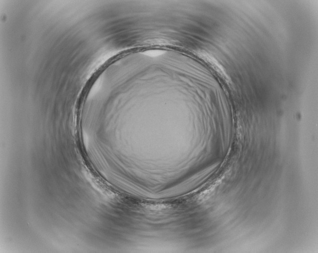 X0000088191031200706051201