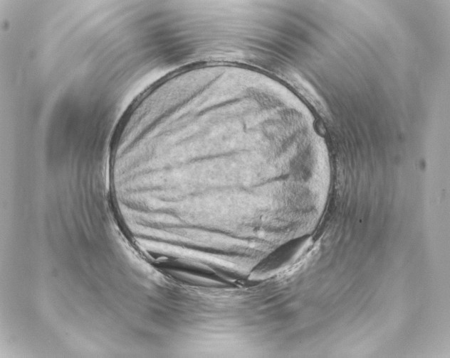 X0000088191036200706051201