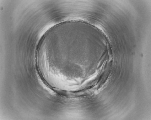 X0000088191038200706051202