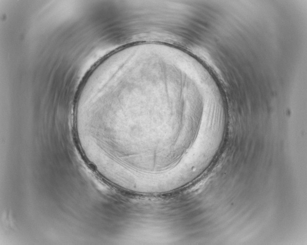 X0000088191040200706051202