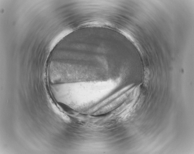 X0000088191042200706051202