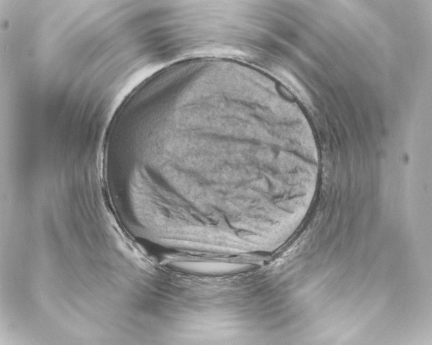 X0000088191044200706051202