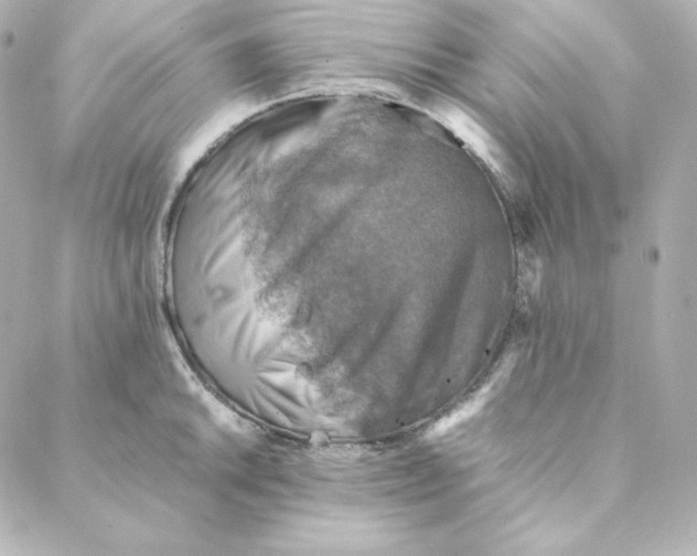 X0000088191046200706051202