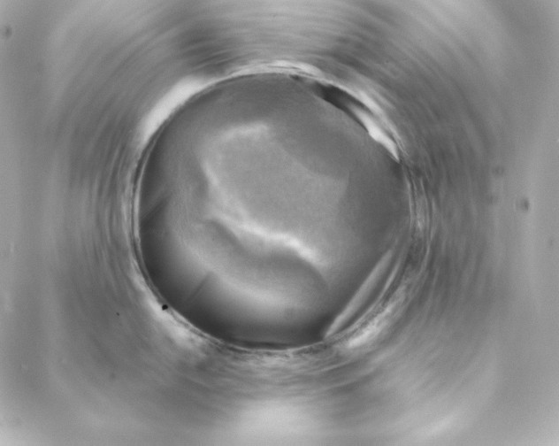 X0000088191054200706051202