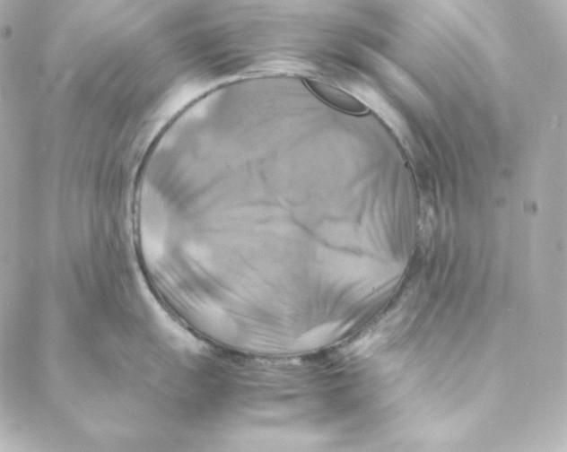 X0000088191055200706051202