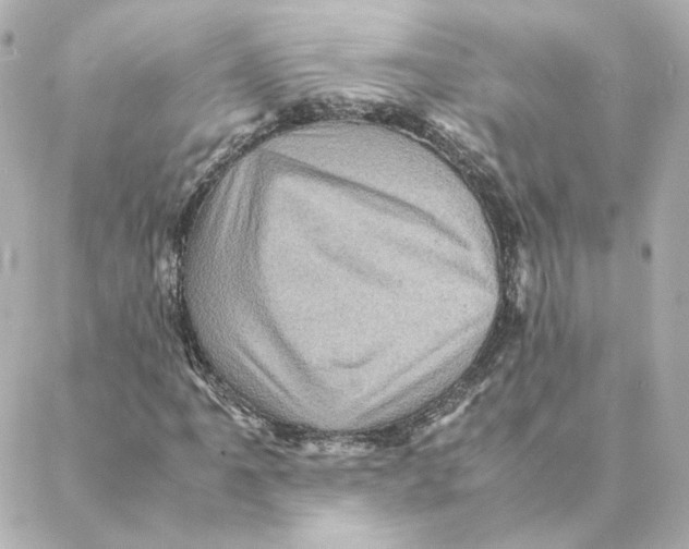 X0000088191061200706051201