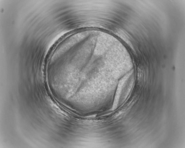 X0000088191068200706051201