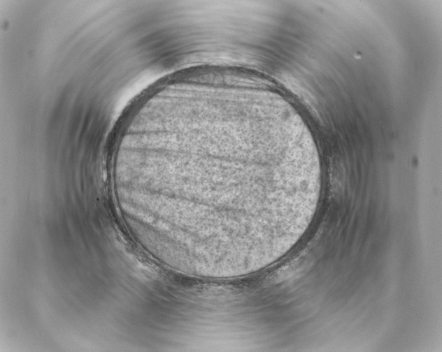 X0000088191070200706051201