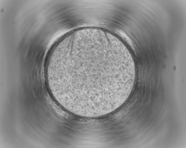 X0000088191072200706051201