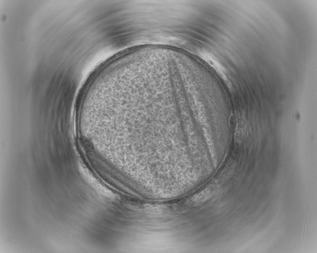 X0000088191080200706051201