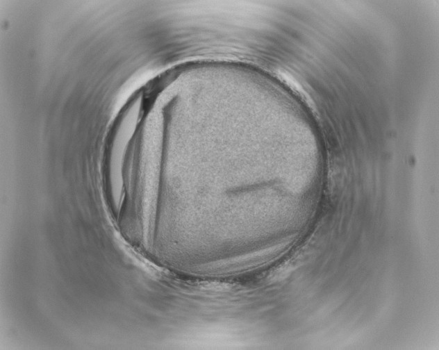 X0000088191085200706051201