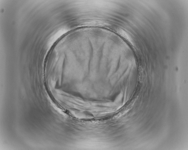 X0000088191087200706051201
