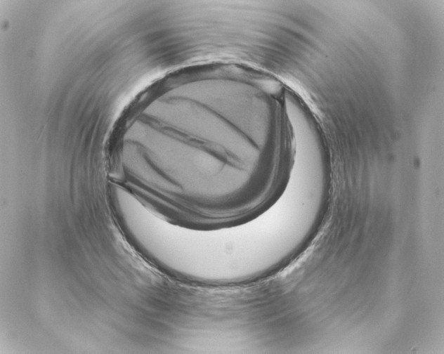 X0000088191118200706051200
