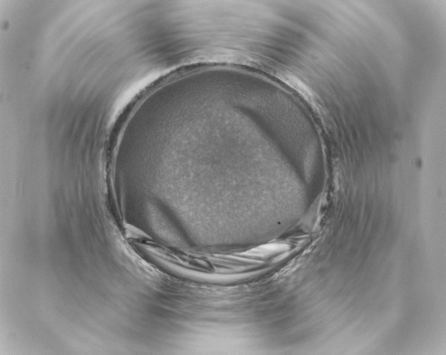 X0000088191120200706051200