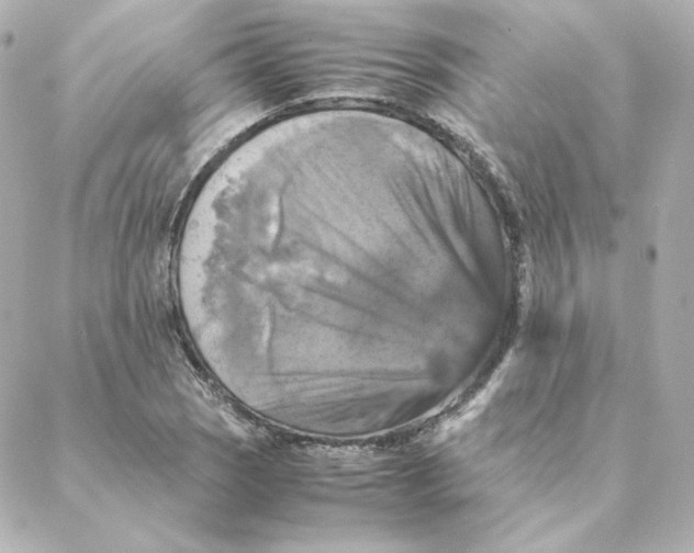 X0000088191121200706051200
