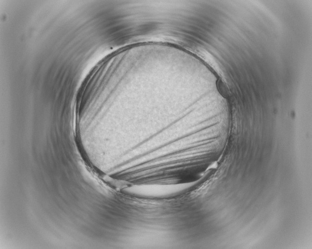 X0000088191132200706051200