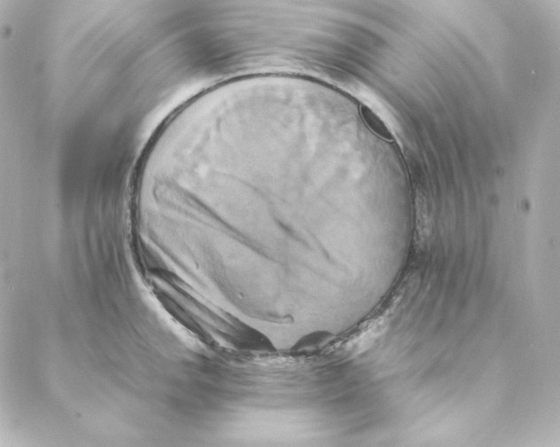 X0000088191142200706051200