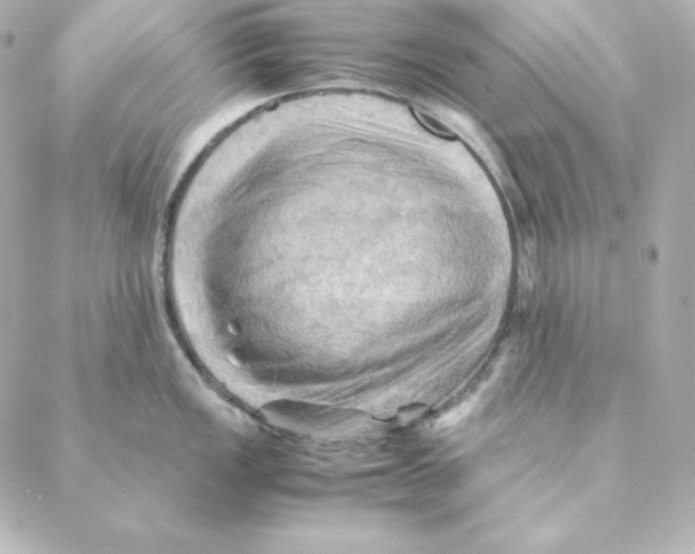 X0000088191149200706051200