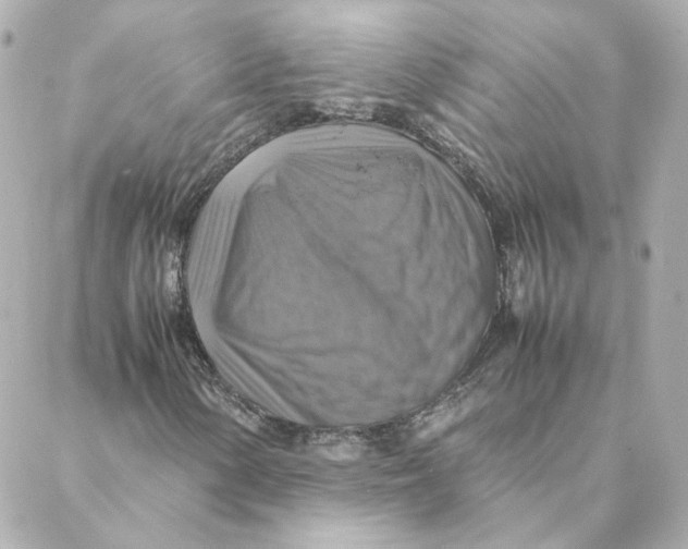 X0000088191154200706051159