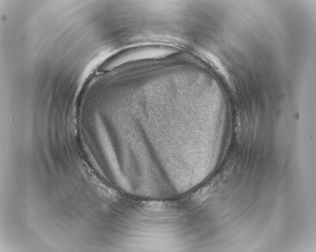 X0000088191172200706051159