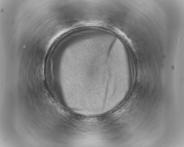 X0000088191174200706051159