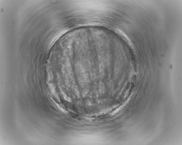 X0000088191177200706051159