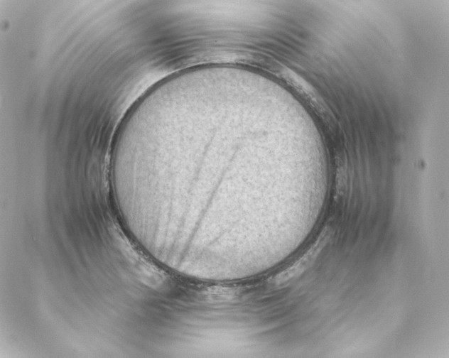 X0000088191178200706051159