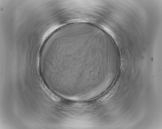 X0000088191179200706051159