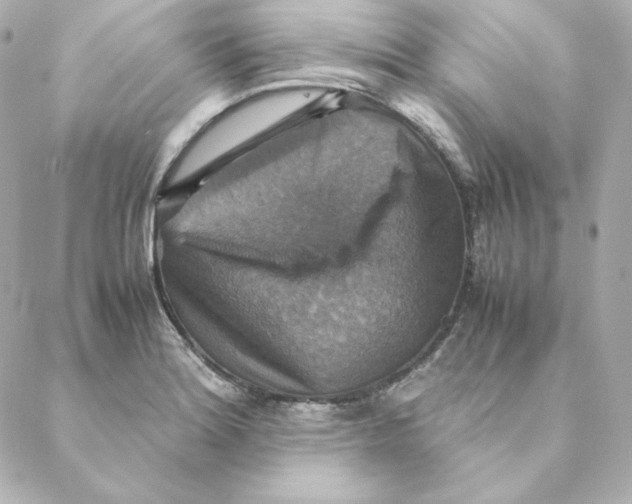 X0000088191180200706051159