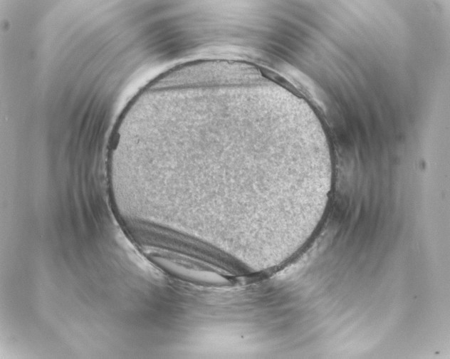 X0000088191192200706051159