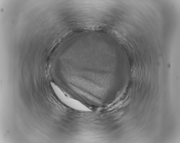 X0000088191202200706051158