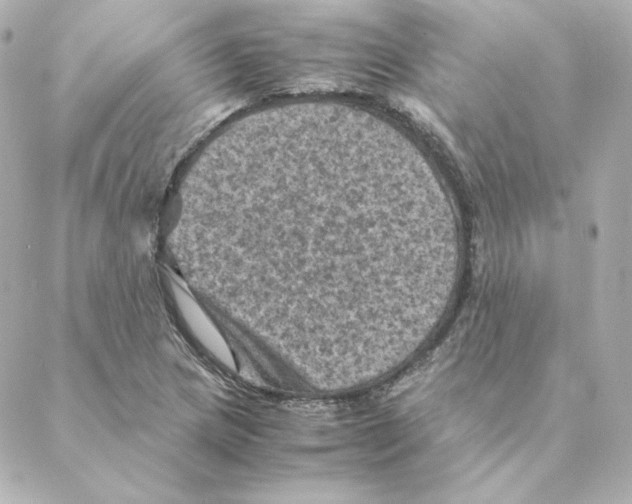 X0000088191217200706051158