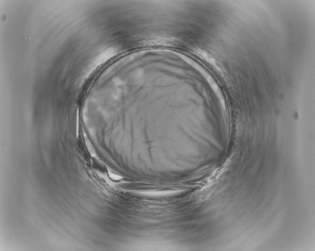 X0000088191219200706051158