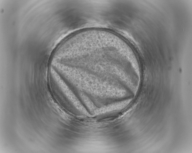 X0000088191220200706051158