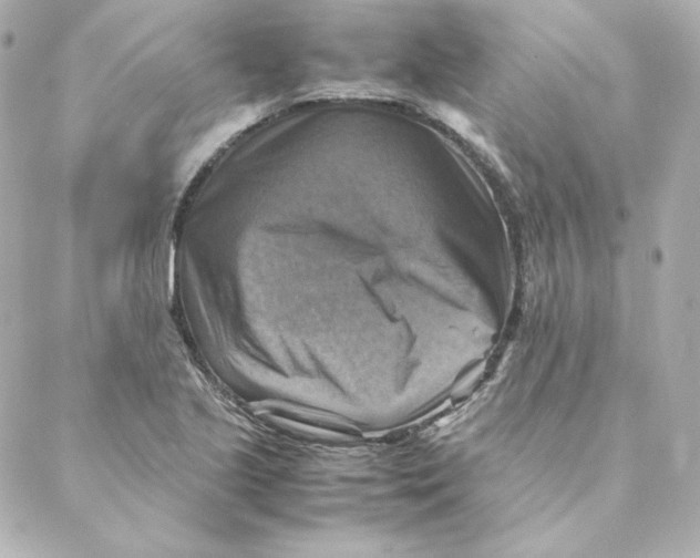 X0000088191221200706051158