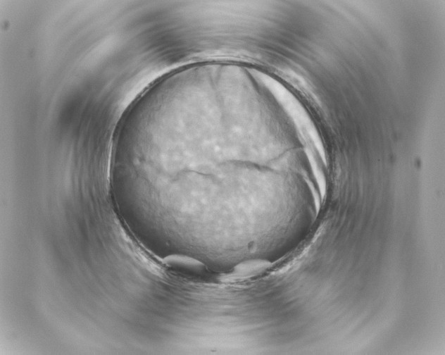 X0000088191228200706051158