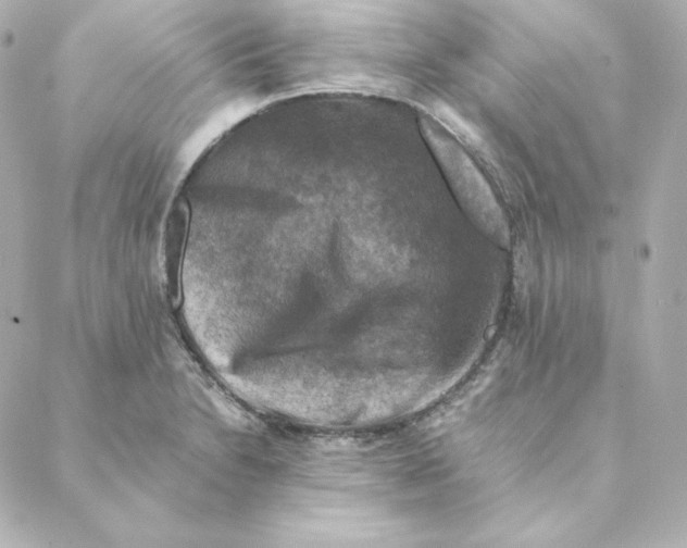 X0000088191230200706051158
