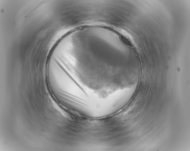 X0000088191231200706051158