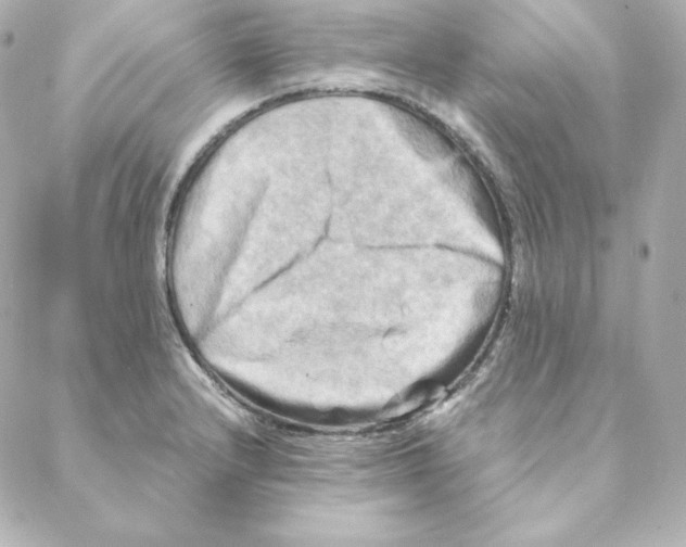 X0000088191232200706051158