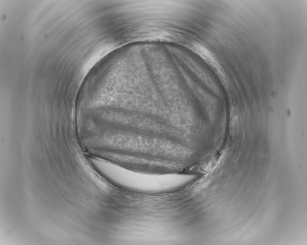 X0000088191234200706051158